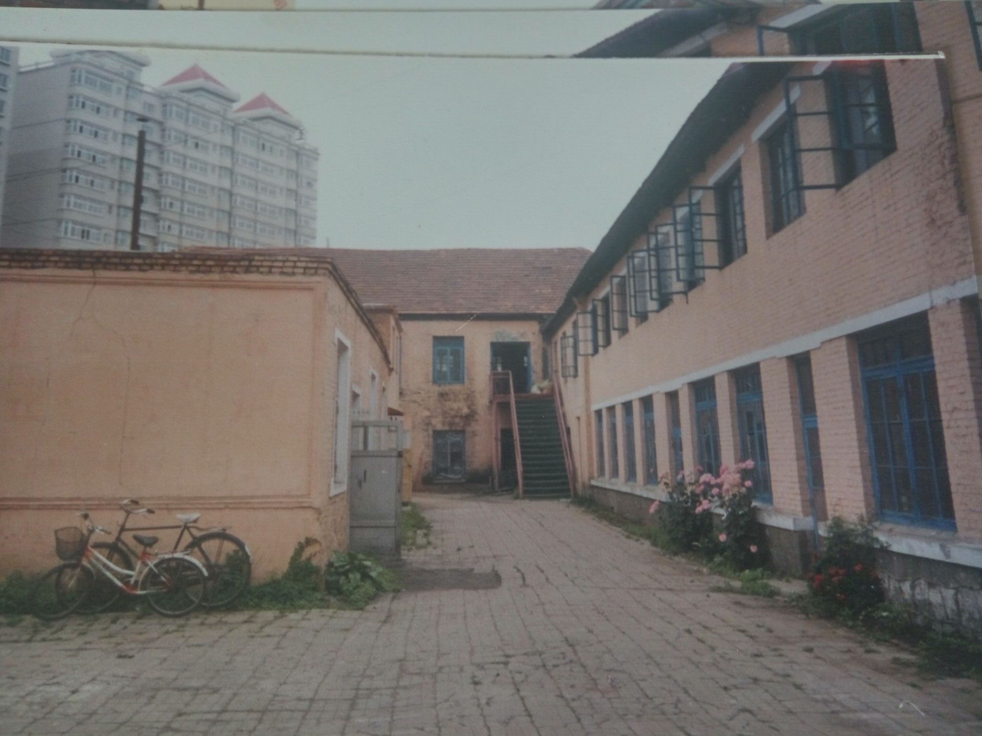 1469692897271186.jpg 3.jpg